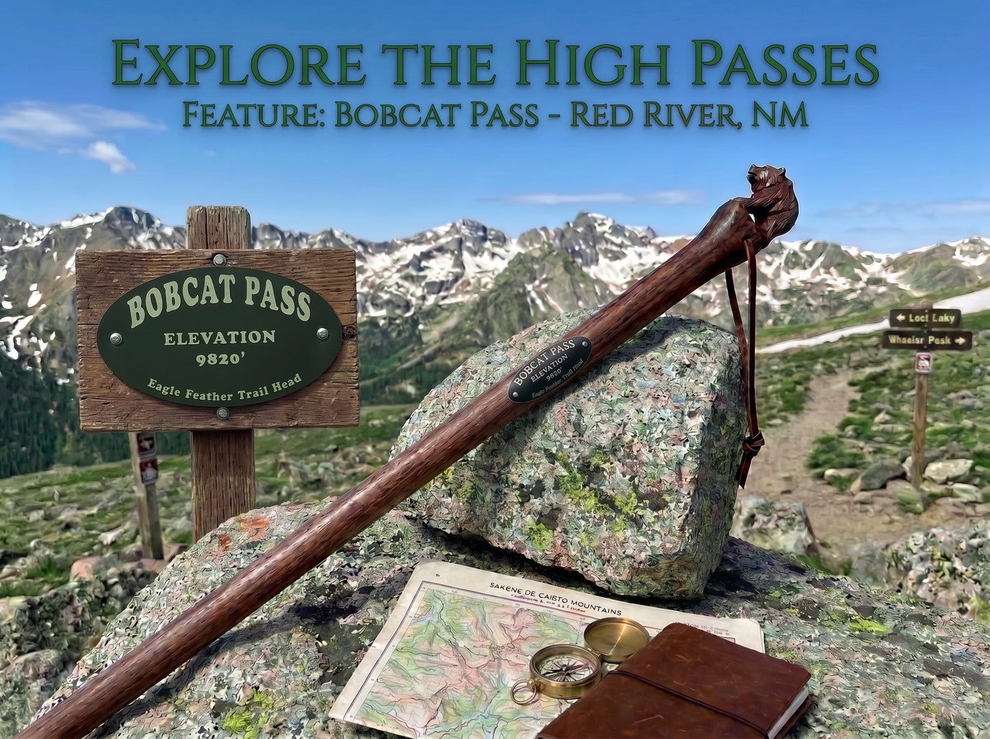 Aluminum Hiking Stick Medallion