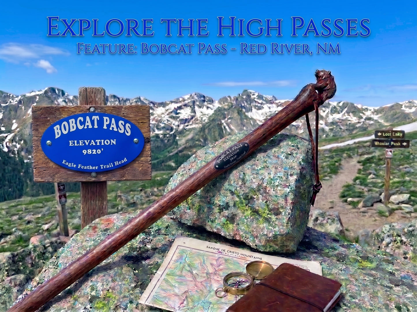 Aluminum Hiking Stick Medallion