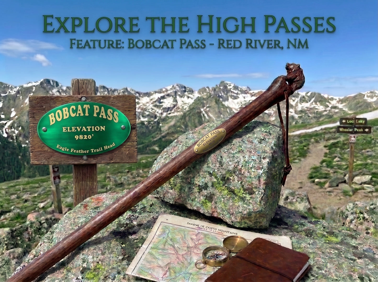 Aluminum Hiking Stick Medallion