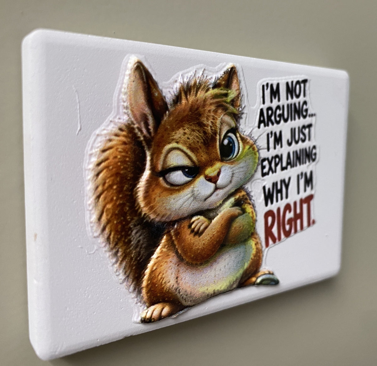 I'm Not Arguing, I'm Right — Fridge Magnet