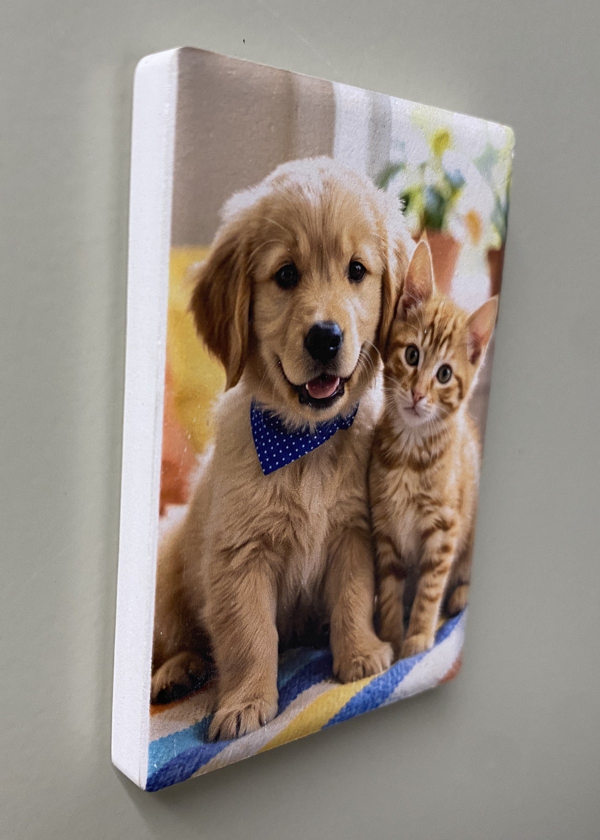 Puppy & Kitten Best Friends — Fridge Magnet