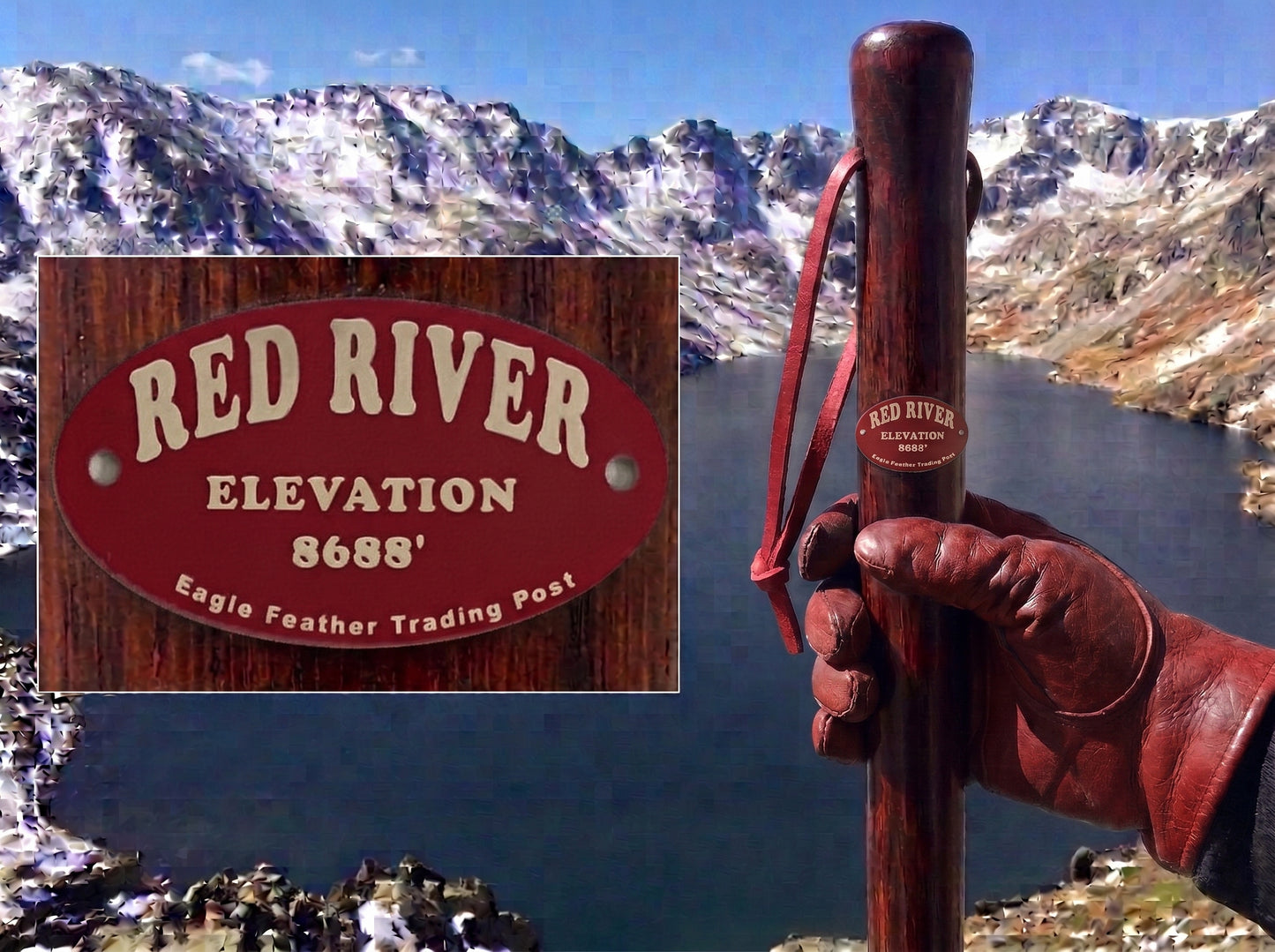 Aluminum Hiking Stick Medallion
